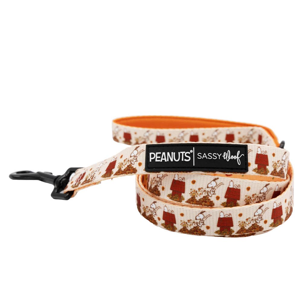 Peanuts™ Harvest Dog Leash