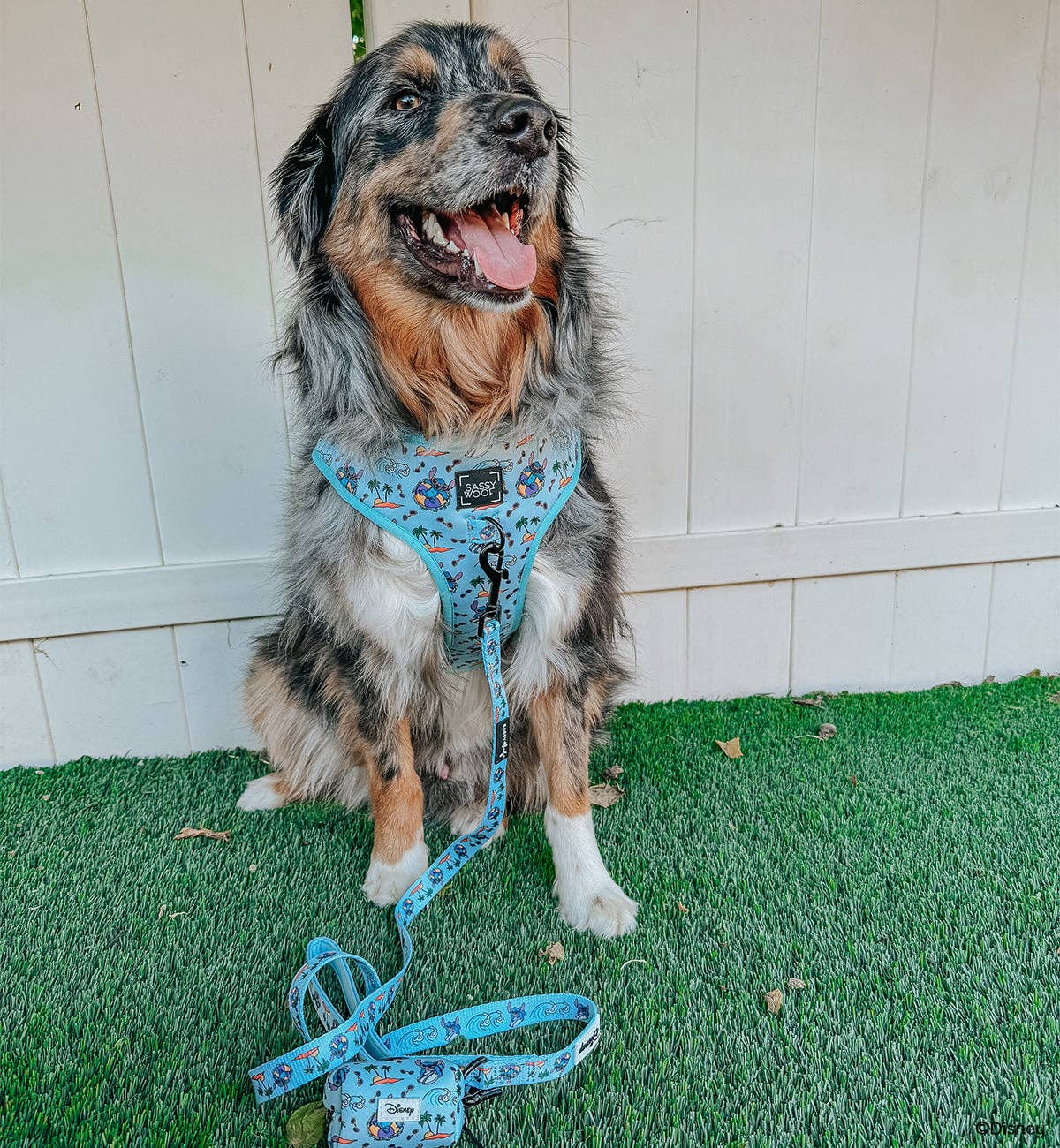 Disney's Stitch Dog Harness