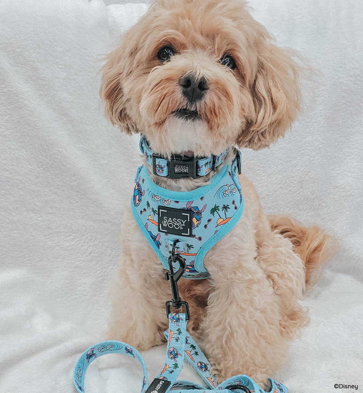 Disney's Stitch Dog Harness