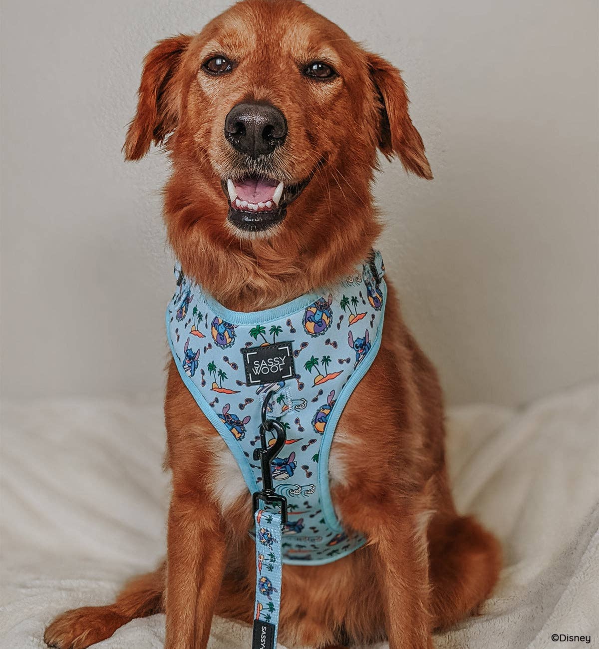 Disney's Stitch Dog Harness