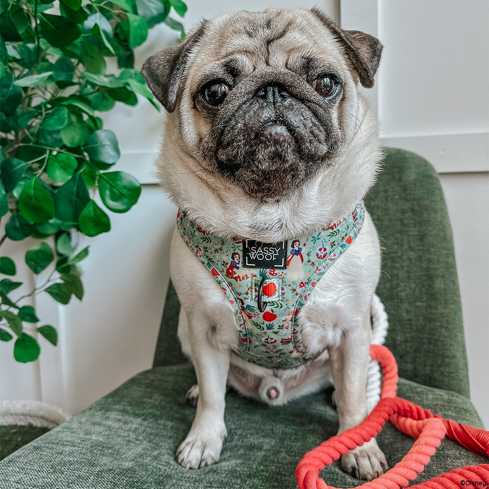 Disney's Snow White Dog Harness