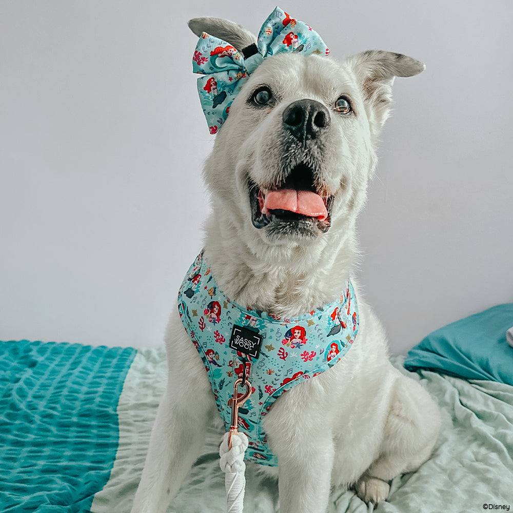 Disney's Ariel Dog Harness