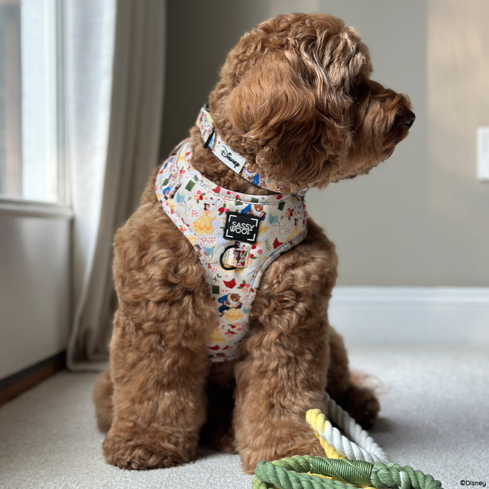 Disney's Belle Dog Harness