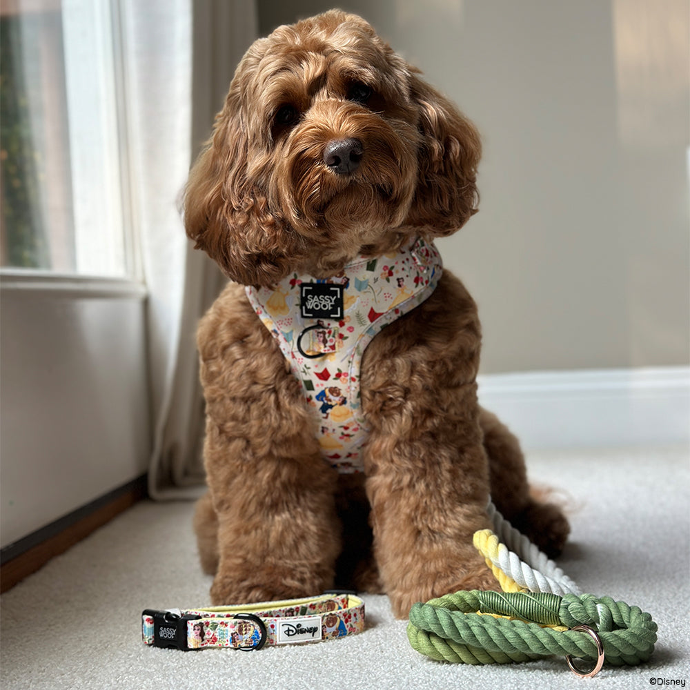 Disney's Belle Dog Harness