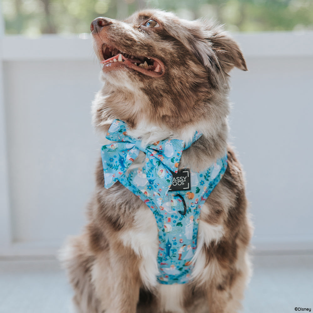 Disney's Cinderella Dog Harness