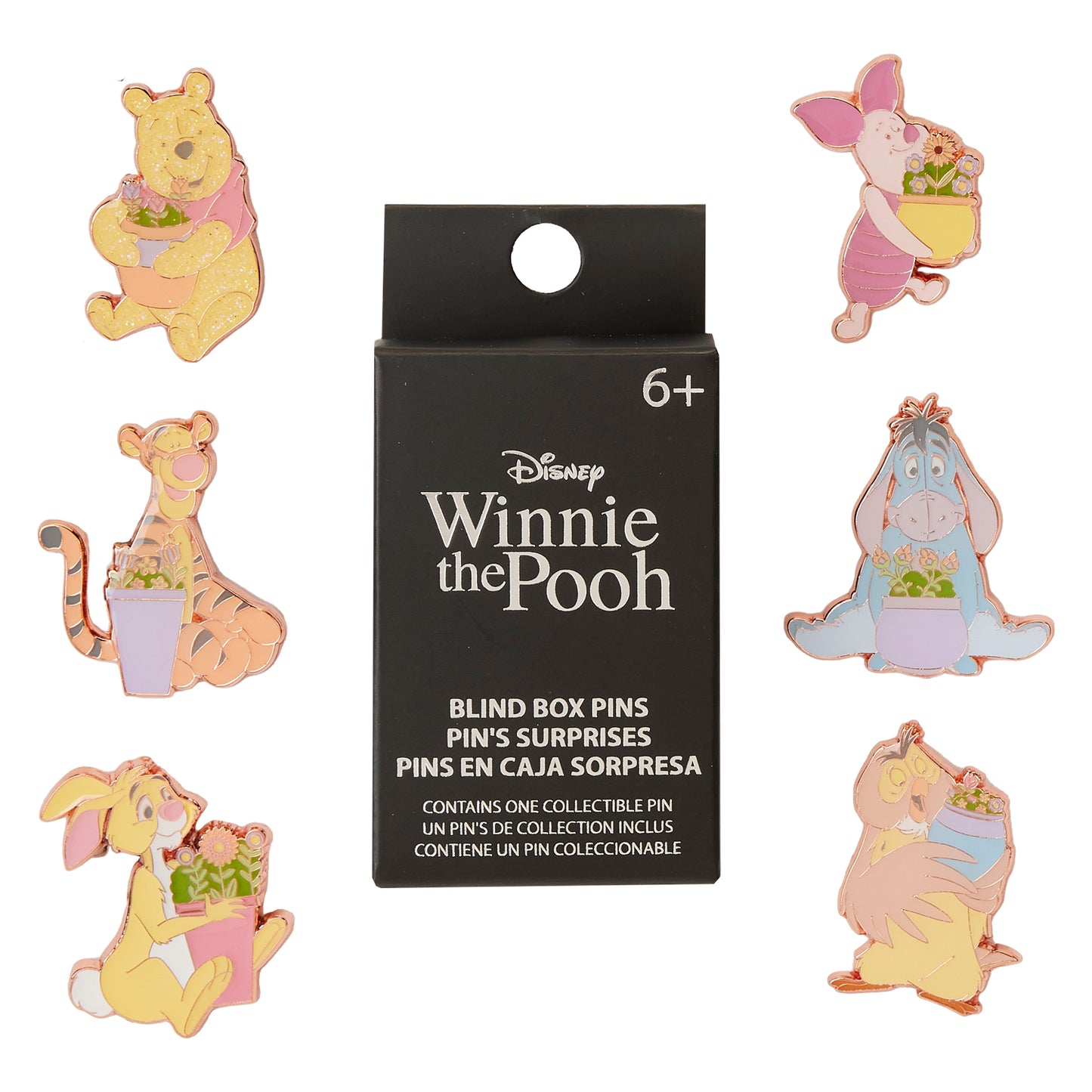 Winnie the Pooh Flowerpots Mystery Box Pins