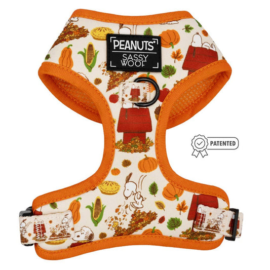 Peanuts™ Harvest Dog Harness