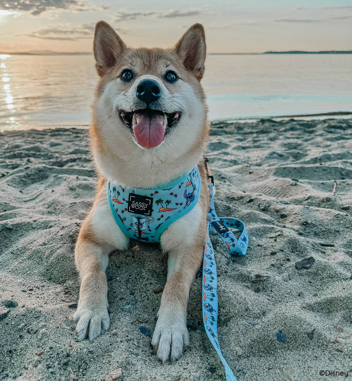 Disney's Stitch Dog Harness